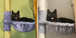 Illustration de l'article : 20 portraits de chats désopilants inspirés de scènes rencontrées sur le net