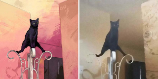 Illustration de l'article : 20 portraits de chats désopilants inspirés de scènes rencontrées sur le net