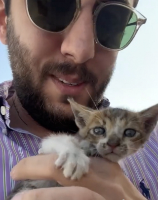 Illustration de l'article : Intrigué par les miaulements d’un chaton en détresse, un homme suspend le cours de sa journée pour lui porter assistance (vidéo) 