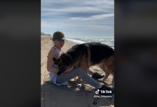 Illustration de l'article : Vidéo : Une femme emmène un chien de refuge âgé passer une merveilleuse journée à la plage