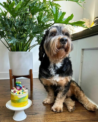 Illustration de l'article : 20 animaux photographiés en plein festin et prouvant que le bonheur est dans la gamelle