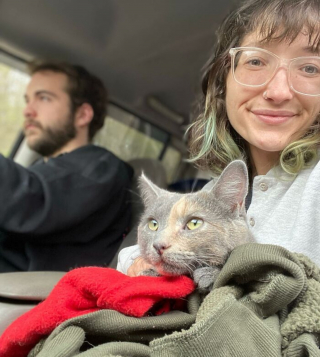 Illustration de l'article : L'amitié d'une femme et un chat est longue à se dessiner, mais change leurs vies et celles d'autres animaux