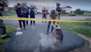 Illustration de l'article : Une équipe de télévision, s'apprêtant à réaliser un reportage sur le passage d'une tornade, entend un chien coincé sous les décombres