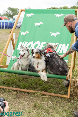 Illustration de l'article : Des milliers de passionnés réunis au Woofest Lyon pour célébrer leur amour des canidés et du sport canin