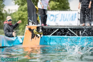 Illustration de l'article : Des milliers de passionnés réunis au Woofest Lyon pour célébrer leur amour des canidés et du sport canin