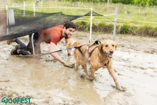 Illustration de l'article : Des milliers de passionnés réunis au Woofest Lyon pour célébrer leur amour des canidés et du sport canin