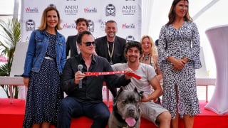 Illustration de l'article : Palm Dog by Dogamí 2023 : quel chien remportera le prix prestigieux du Festival de Cannes ?