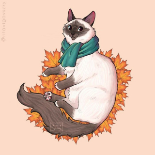 Illustration de l'article : 20 illustrations d'une artiste racontant les aventures drôles et touchantes de son chat