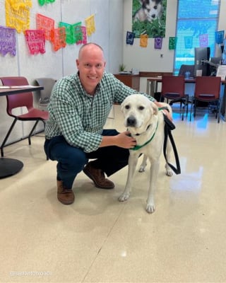 Illustration de l'article : Un Labrador Retriever piégé sur une voie ferrée en activité donne lieu à une intervention périlleuse