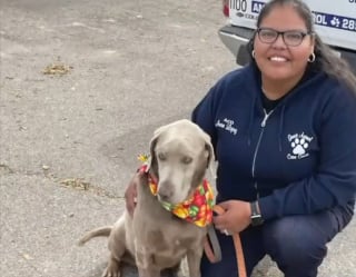 Illustration de l'article : Un chien de refuge affronte courageusement un serpent à sonnette qui menaçait une agente animalière