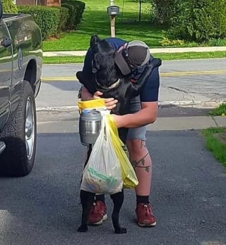 Illustration de l'article : 24 photos montrant à quel point les chiens aiment leurs propriétaires