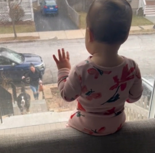 Illustration de l'article : Lorsqu’ils se voient par la fenêtre, ce bébé et sa grande sœur nous offre un instant magique et rempli de tendresse (vidéo)