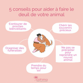 Illustration de l'article : Comment briser le tabou du deuil animalier et obtenir un soutien bienveillant ?