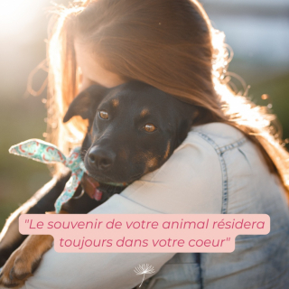 Illustration de l'article : Comment briser le tabou du deuil animalier et obtenir un soutien bienveillant ?