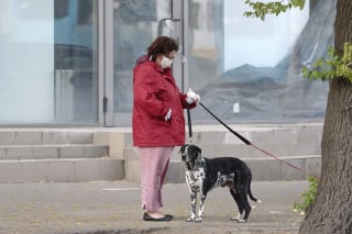 Illustration de l'article : Dans le Tarn, L’ADN pourrait être utilisé afin de retrouver les propriétaires qui ne ramassent pas les déjections de leur chien