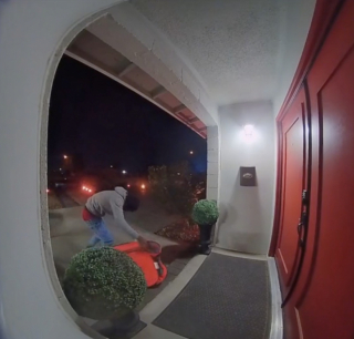 Illustration de l'article : Un homme cagoulé dépose un chiot devant la porte d’une maison et s’enfuit en courant (vidéo)