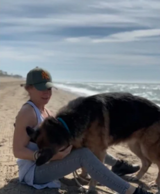 Illustration de l'article : Une bénévole consacre une journée à un chien de refuge âgé afin de lui offrir une journée inoubliable à la plage (vidéo)