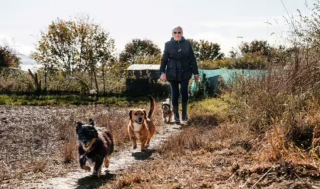 Illustration de l'article : Une dame de 81 ans arrondit ses fins de mois en gardant des animaux, et elle « adore ça » ! 