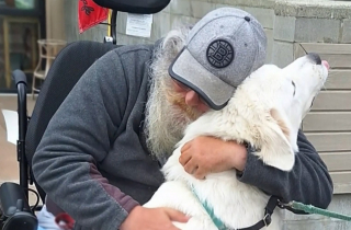 Illustration de l'article : Comment l'amour inconditionnel des chiens de quartier ont redonné le sourire à un homme en fauteuil roulant