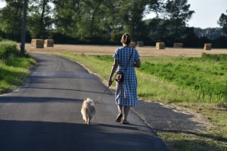 Illustration de l'article : Garde et promenade des chiens après la rentrée ou la reprise du travail : l'enquête révélatrice d'Emprunte Mon Toutou