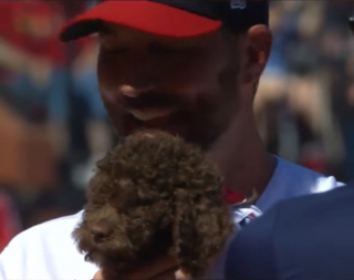 Illustration de l'article : Un joueur de baseball qui attendait le bon moment pour adopter un chien reçoit une belle surprise le jour de sa retraite (vidéo)