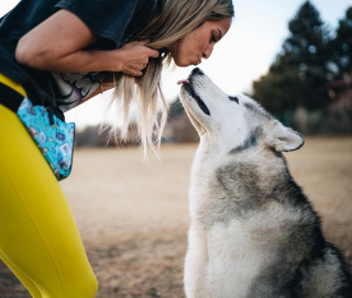 Illustration de l'article : 16 photos montrant tout l’attachement des Chien-Loup à leurs maîtres