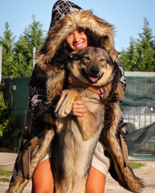 Illustration de l'article : 16 photos montrant tout l’attachement des Chien-Loup à leurs maîtres