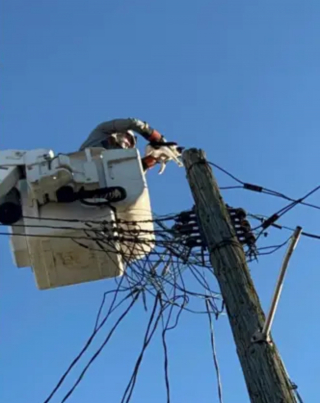 Illustration de l'article : Riverains mobilisés et électricité coupée dans tout le quartier pour tenter de secourir un chat coincé sur un poteau électrique