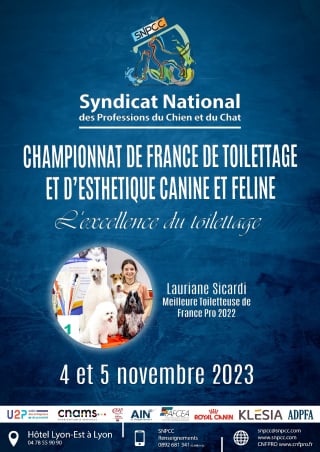 Illustration de l'article : L'art du toilettage canin et félin à l'honneur lors du Championnat de France 2023 : qui sera le meilleur toiletteur ?