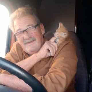Illustration de l'article : Le passage marquant d'un chaton dans la vie d'un camionneur dont il a conquis et soigné le cœur