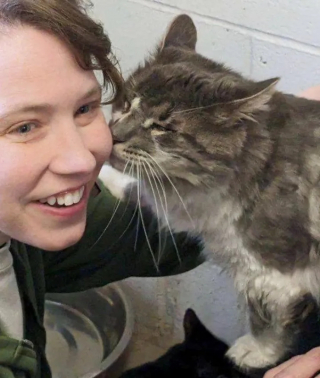 Illustration de l'article : Un chat de refuge aux yeux minuscules et débordant d'affection attend sa chance pendant 2 ans