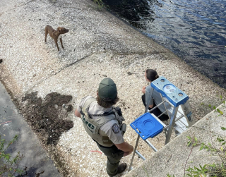 Illustration de l'article : Un chien pris au piège dans le déversoir d'un canal place tous ses espoirs entre les mains des agents animaliers