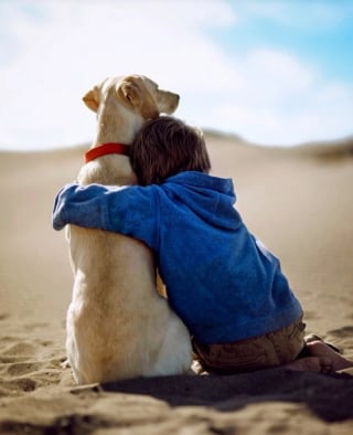 Illustration de l'article : 25 photos montrant que les enfants tissent d’incroyables liens avec leurs animaux de compagnie