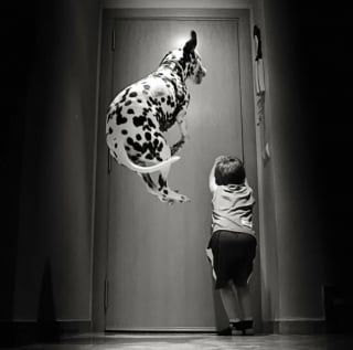 Illustration de l'article : 25 photos montrant que les enfants tissent d’incroyables liens avec leurs animaux de compagnie