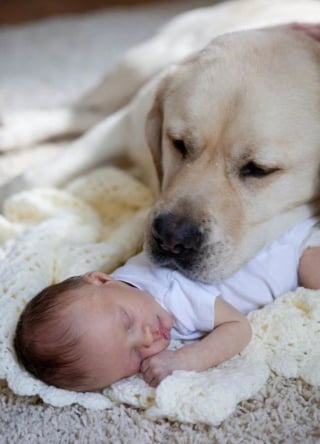 Illustration de l'article : 25 photos montrant que les enfants tissent d’incroyables liens avec leurs animaux de compagnie