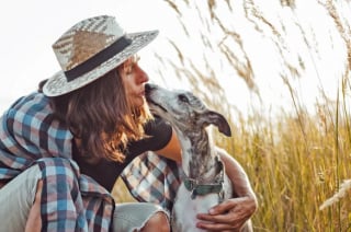 Illustration de l'article : Les 14 meilleures races de chiens lorsque l’on adopte pour la première fois