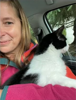 Illustration de l'article : Un chat se bat pour survivre dans la nature pendant 26 jours après une crue ayant détruit sa maison