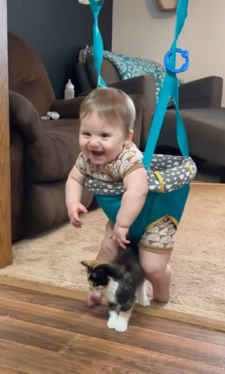Illustration de l'article : Le rire contagieux d’un bébé qui rencontre un chaton pour la première fois  (vidéo)