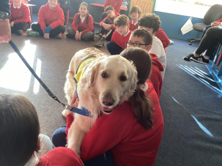 Illustration de l'article : Cette chienne de thérapie apporte sourires et réconfort aux personnes âgées et handicapées