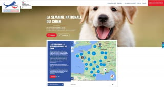 Illustration de l'article : La Centrale Canine lance la première Semaine Nationale du Chien : une célébration inédite de nos amis à 4 pattes