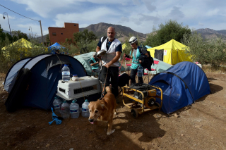 Illustration de l'article : Ce Golden Retriever recherche des survivants suite au tremblement de terre qui a frappé le Maroc