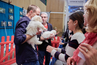 Illustration de l'article : L’Animal Expo - Animalis Show vous donne rendez-vous ce 30 septembre et ce 1er octobre pour sa 32e édition