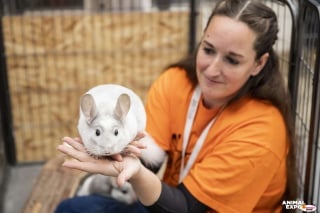 Illustration de l'article : L’Animal Expo - Animalis Show vous donne rendez-vous ce 30 septembre et ce 1er octobre pour sa 32e édition