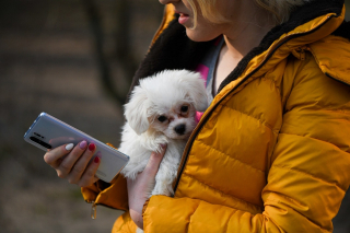 Illustration de l'article : 2,4 milliards d’euros levés pour la Pet Tech en France depuis 2000, mais des dizaines de projets attendent d’être financés