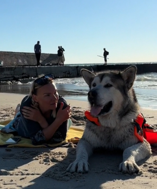 Illustration de l'article : Ce chien ayant perdu l’usage de ses pattes retrouve le bonheur d’aller à la mer grâce à un gilet de sauvetage sur mesure (vidéo)