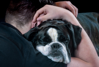 Illustration de l'article : Une nouvelle étude révèle une autre facette de l’aide qu’apportent les chiens aux personnes souffrant de stress post-traumatique