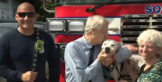 Illustration de l'article : Une chienne sourde en attente d'un foyer depuis 2 ans peut enfin réaliser son rêve grâce à ce qu'un couple bienveillant lui a appris