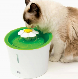 Illustration de l'article : Abreuvoirs intelligents et friandises hydratantes, découvrez les solutions Catit pour inciter votre chat à boire à l'approche des beaux jours