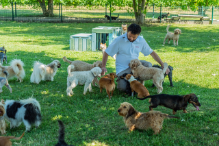 Illustration de l'article : Cécile Coutens, PDG de Royal Canin : « La nutrition comme première médecine, c'est notre engagement pour le bien-être des animaux »