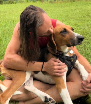 Illustration de l'article : Ce chien dénutri tape à la porte d'une ferme et se transforme en un compagnon heureux